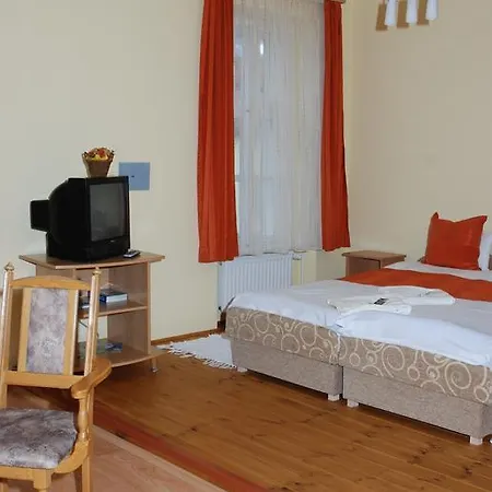 Bed & Breakfast Vaskapu Panzio Vasvar