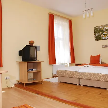 Bed & Breakfast Vaskapu Panzio 3*