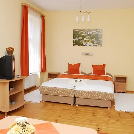 Bed & Breakfast Vaskapu Panzio