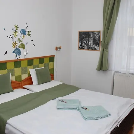 Vaskapu Panzio Bed & Breakfast Vasvar
