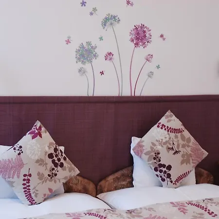 Bed & Breakfast Vaskapu Panzio 3*