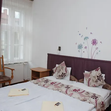 Vaskapu Panzio Bed & Breakfast 3*