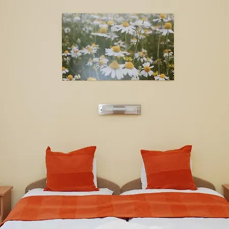 Vaskapu Panzio Bed & Breakfast Vasvar